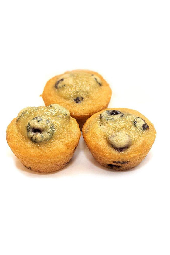 Katz Gluten Free Blueberry Muffin Snacks